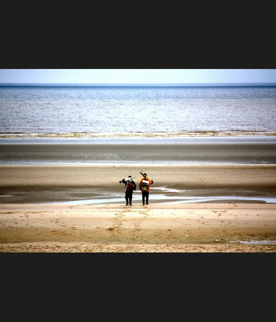 L'image de la semaine du 15 mai 2012