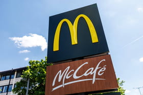 Cette info sur la composition des hamburgers de McDonald's est bien cach&eacute;e, elle n'est disponible qu'aux bornes