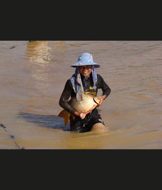 Jolie prise &agrave; Chiang Sen