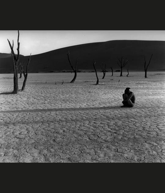 Un monde de silence