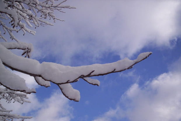 Branche qui double de volume