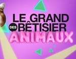 Le grand bêtisier des animaux