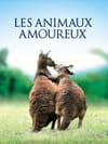 Les animaux amoureux