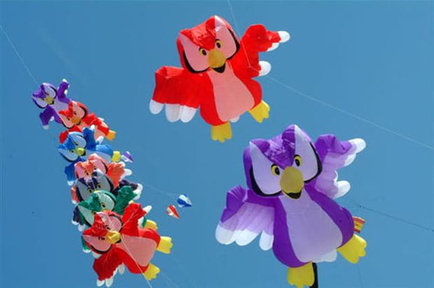 Les hiboux s'élancent