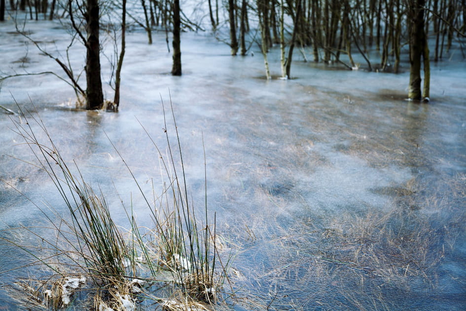 La lande fig&eacute;e dans la glace