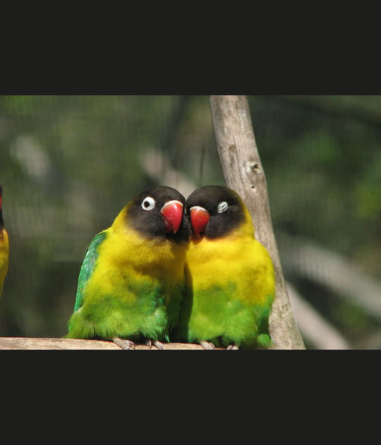 Ins&eacute;parables, ces deux l&agrave;&nbsp;!