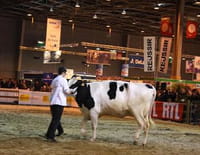 Dans les coulisses du Salon de l'agriculture
