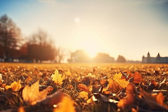 Equinoxe d'automne 2025&nbsp;: pourquoi les feuilles tombent-elles&nbsp;?
