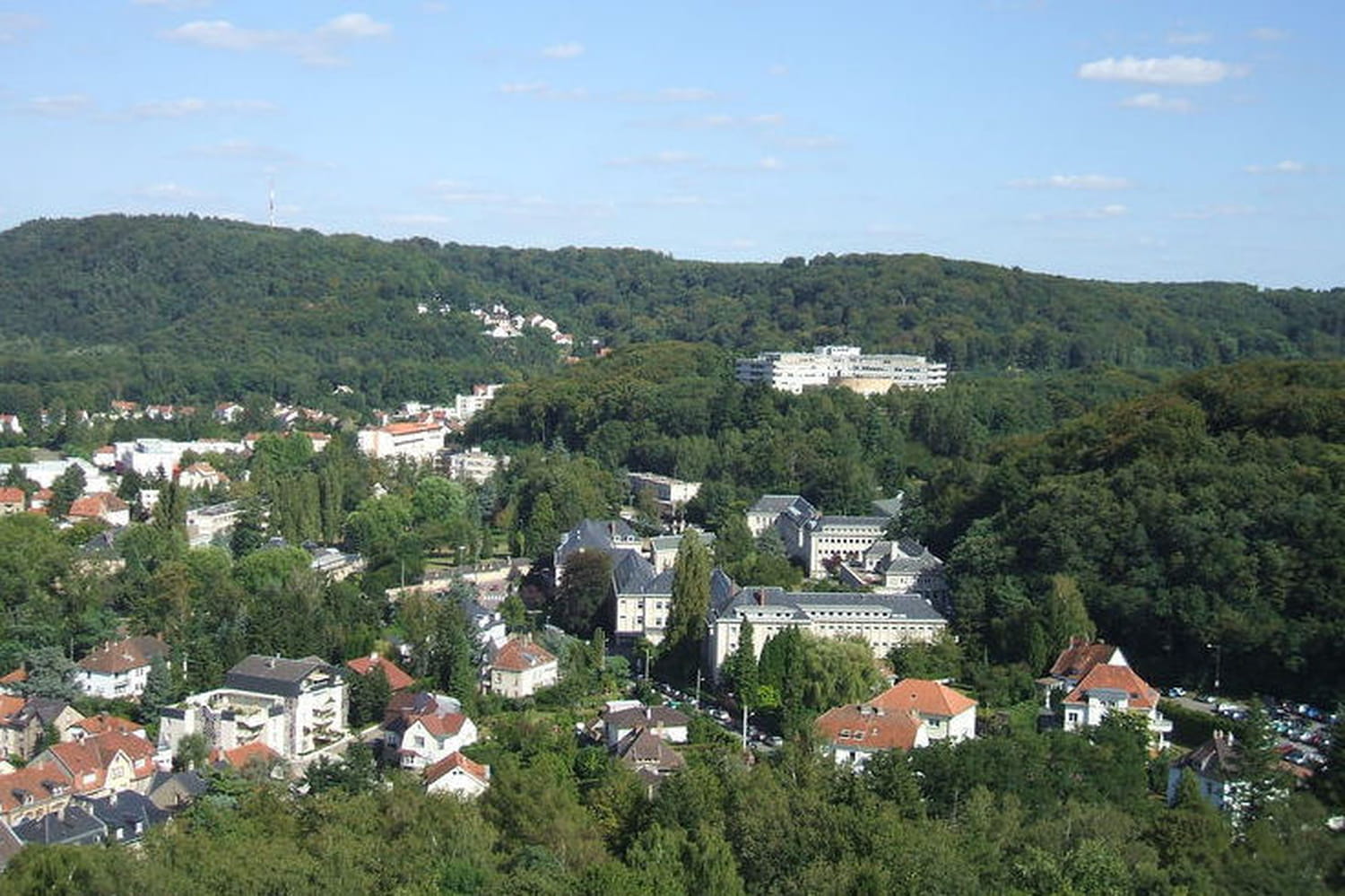 L'UMP/UDI triomphe en Moselle (40,82 %) devant le FN