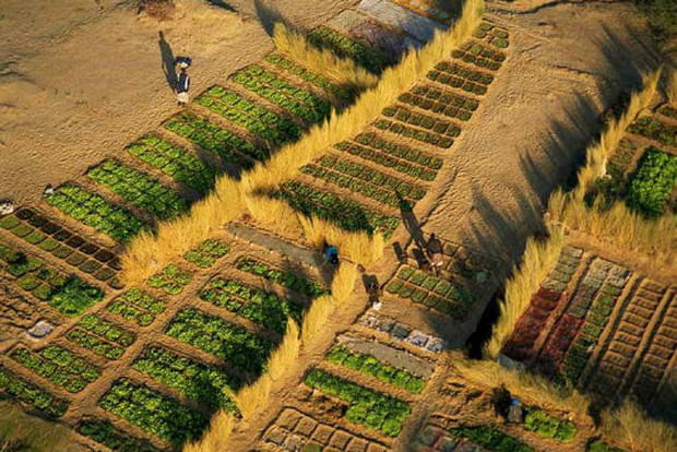 Un jardin en Afrique