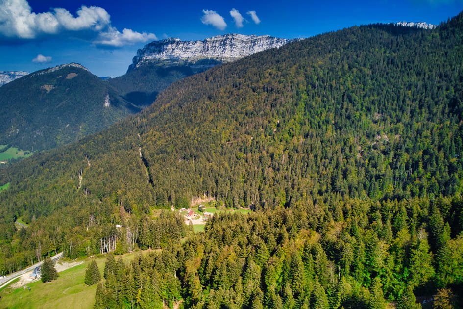 La for&ecirc;t domaniale de Grande Chartreuse, Les Alpes