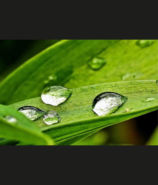 Gouttes d'eau
