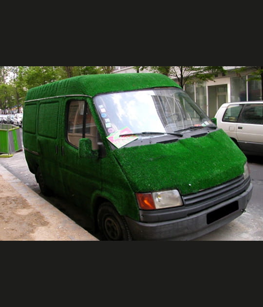 Camion pelouse