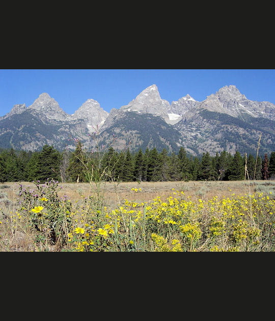 Le Grand Teton, Etats-Unis
