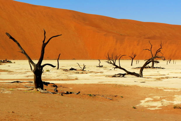 Le désert du Namib en Namibie