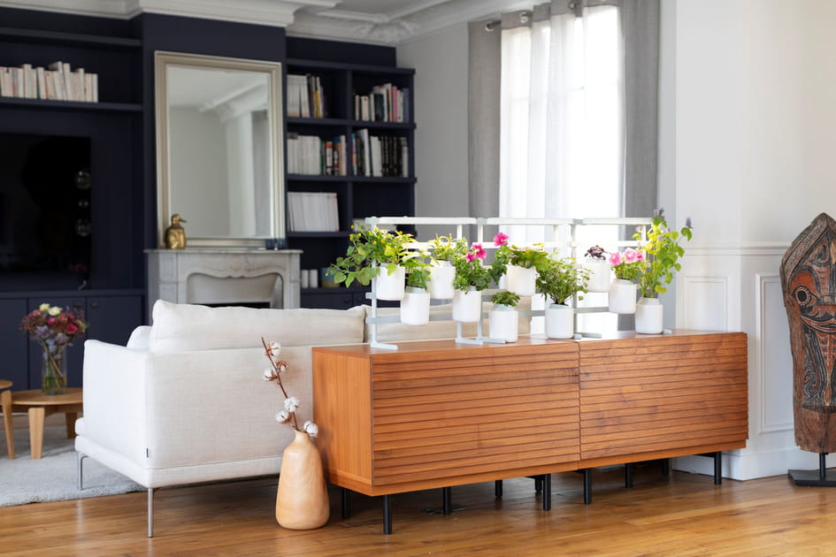 Sur un meuble pour cloisonner