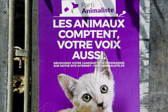 Bon résultat du parti animaliste aux européennes