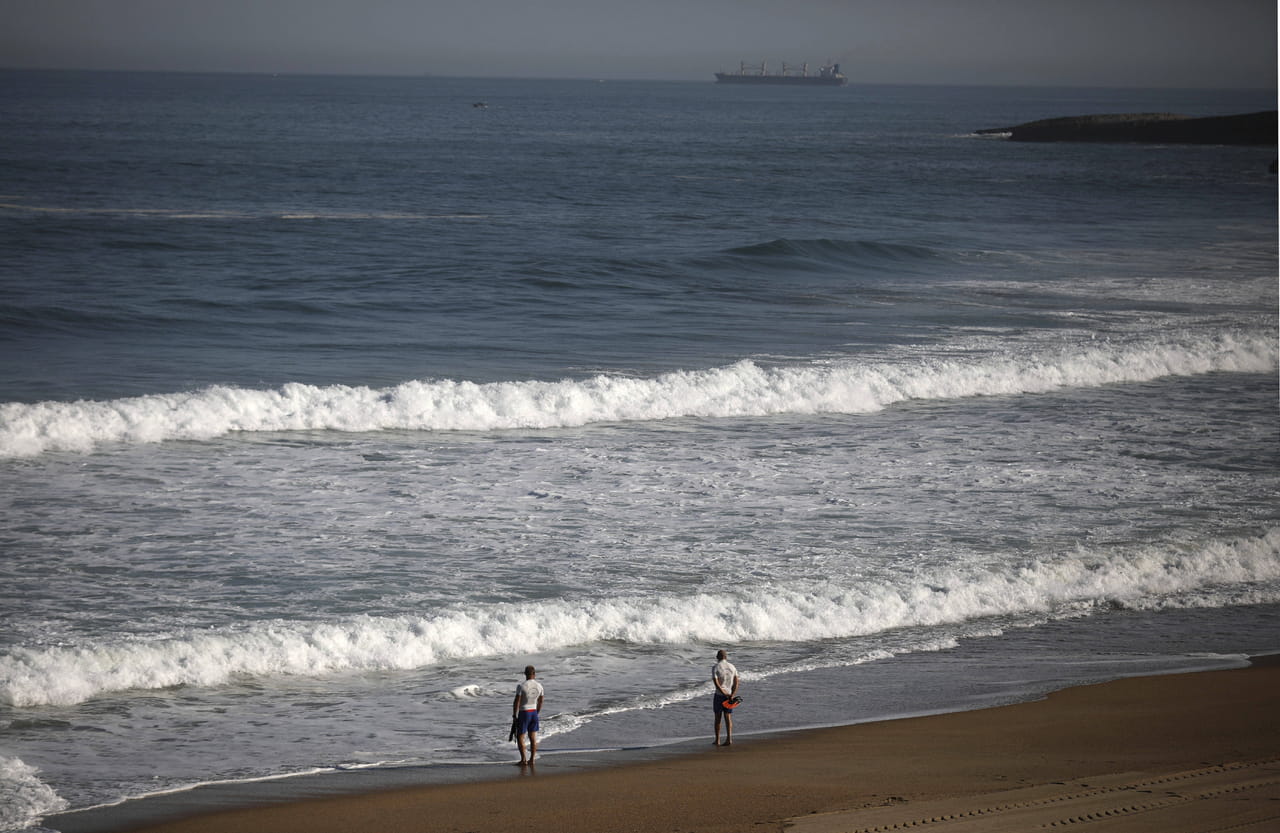 Symptômes grippaux et respiratoires après s'être baigné à la plage ? Cette algue fait des ravages au Pays basque