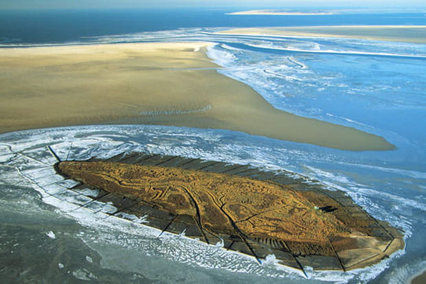 La mer des Wadden en Allemagne
