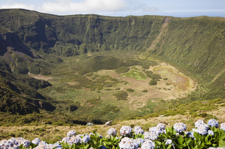 Faial