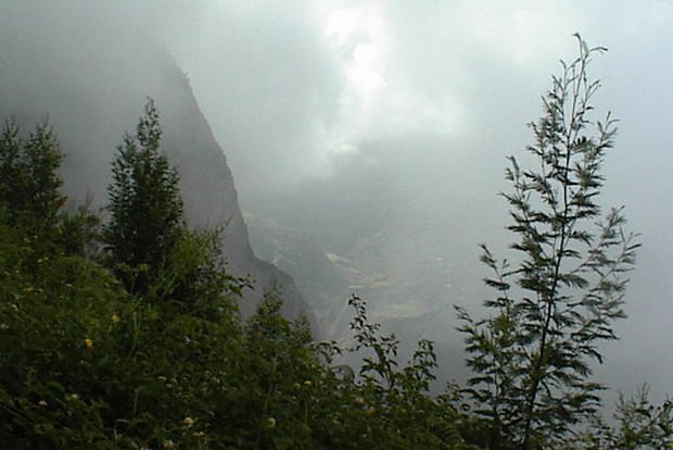 La forêt de brume des Makes