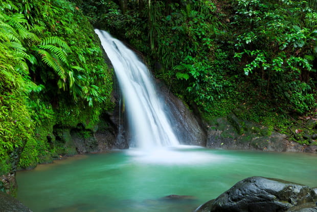 Le parc national de la Guadeloupe