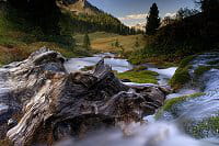 photo sidamon pesson nature