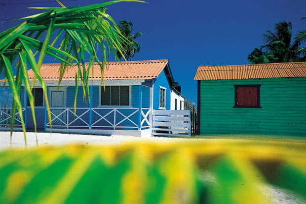 Saona, perle de la côte caraïbe