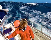 Une fleur dans le Pacifique : Cap vers le Sud