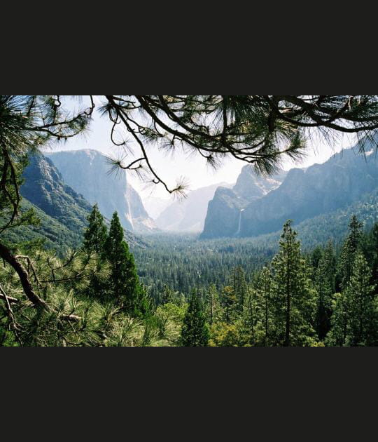 Yosemite valley