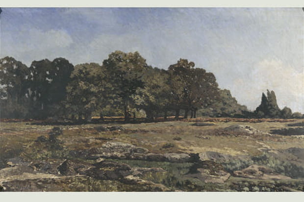 Sisley : La Lisière de la forêt de Fontainebleau