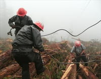 Ax Men : Sauvez Willy
