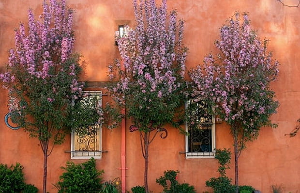 Le Nouveau-Mexique : direction Santa Fe