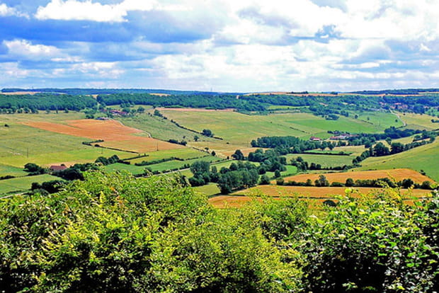 Flavigny-sur-Ozerain, Côte-d'Or