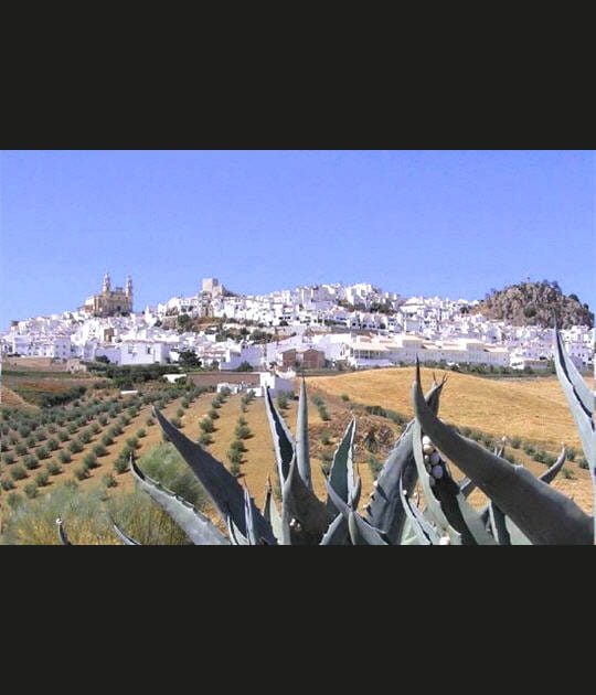 Paysage andalou