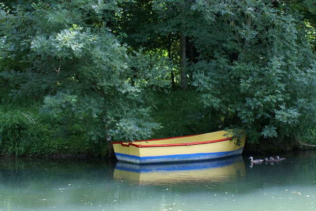 Promenade au fil de la Charente