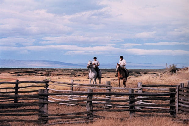 Gauchos