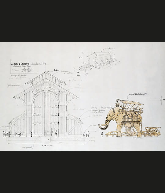 Promenade &agrave; dos d'&eacute;l&eacute;phant