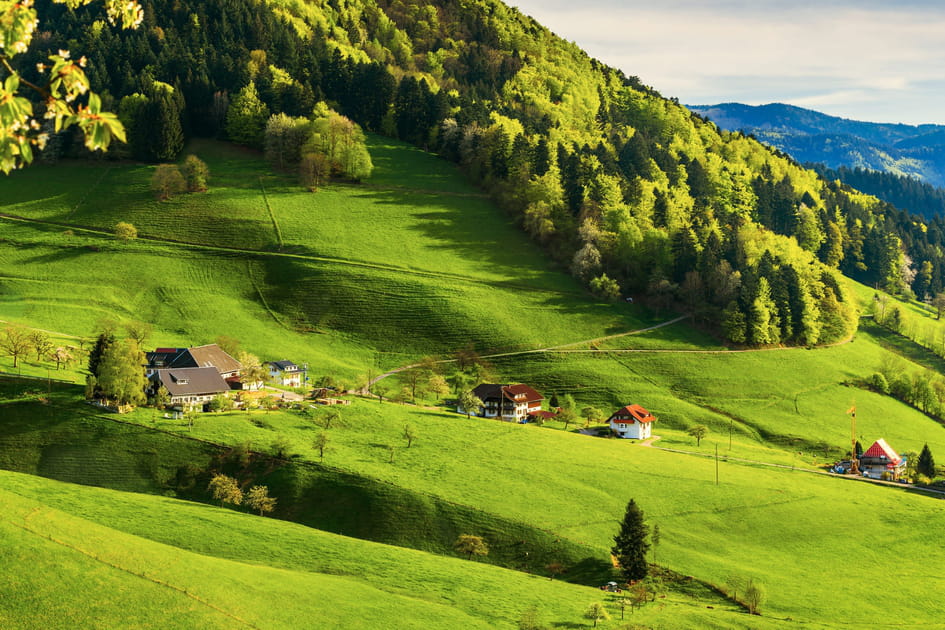 La for&ecirc;t noire, en Allemagne