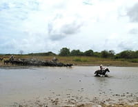 Les gens du fleuve : L'Amazone (1/2)