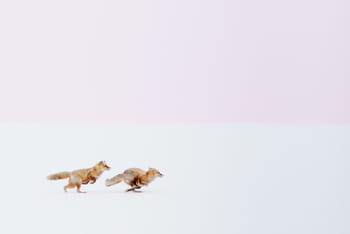 Les plus belles photos récompensées par le National Geographic Traveler 2016