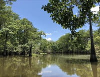 Au bout c'est la mer : Le Mississippi