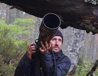 Vincent Munier, éternel émerveillé