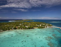 La plus grande forêt du monde : L'archipel des Tuamotu