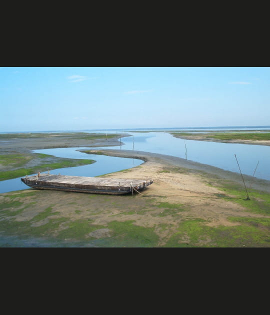 Le bassin d'Arcachon