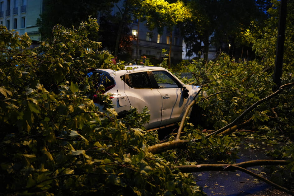 Des arbres tomb&eacute;s &agrave; Paris &agrave; cause des orages