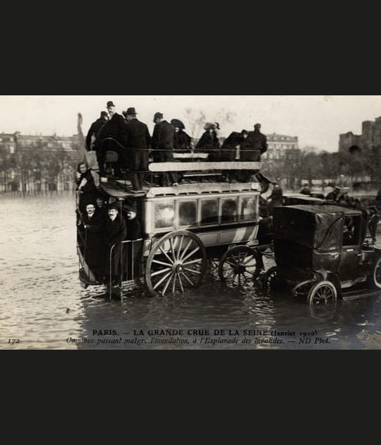 Omnibus