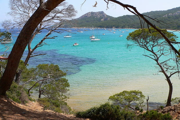 La plage Notre-Dame à Porquerolles (Var)