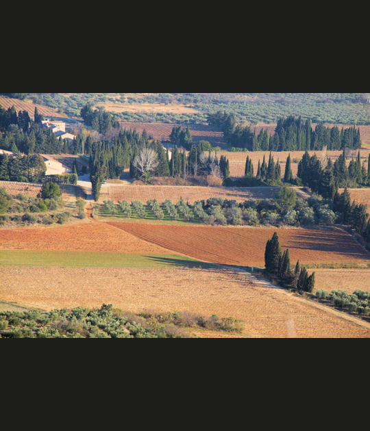 Au creux des Alpilles