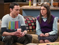 The Big Bang Theory : Fiançailles, Status quo, départ